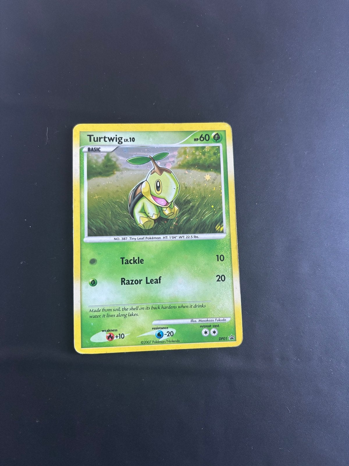 Turtwig Lv.10 Pokémon Kaart - Basis, Ophalen of Verzenden, Gebruikt, Losse kaart