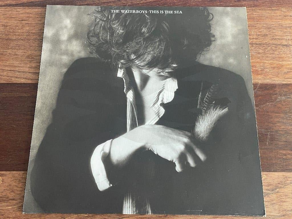 Vinyl LP The Waterboys This Is The Sea ( Mike Scott ), LP, Gebruikt, Pop, Inclusief binnenhoes