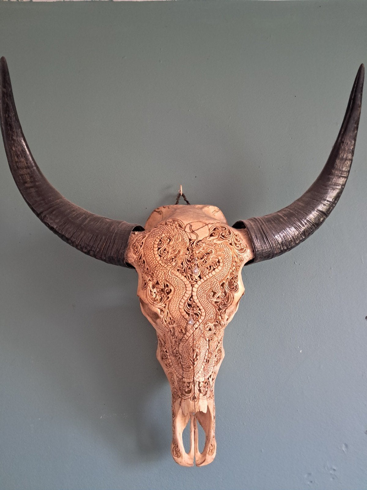 Schedel met originele hoorns en handgegraveerde draken, Overige onderwerpen, Natuurlijk materiaal, Handgemaakt, Wanddecoratie