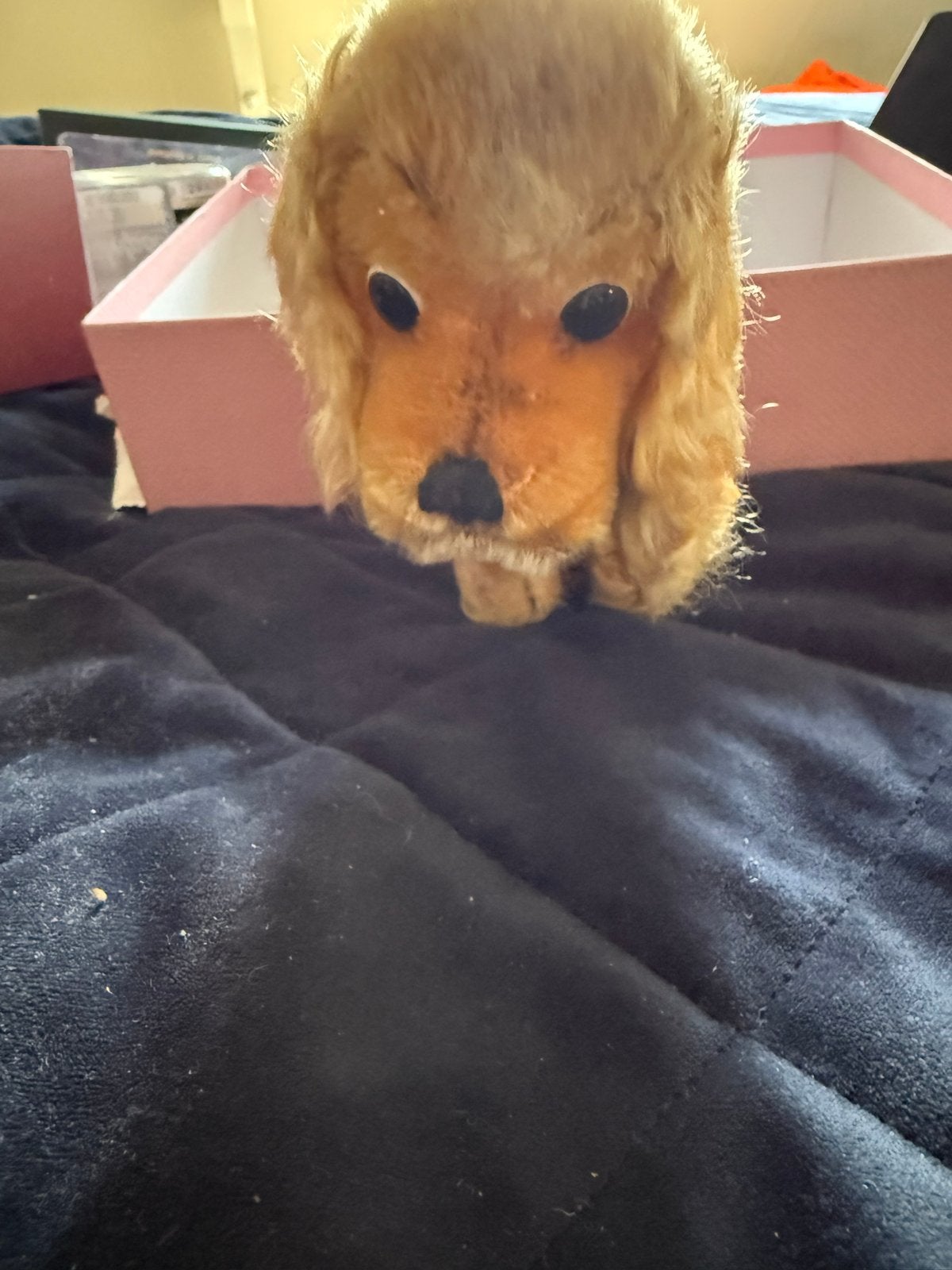 Originele Steiff Hond Jaren '60 - Groot Model, Verzamelen, Speelgoed, Verzenden, Zo goed als nieuw