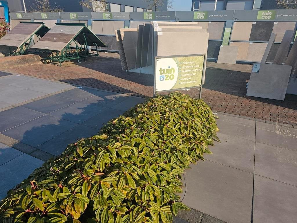 Keramische, betontegels, kunstgras en tuinverlichting, Ophalen of Verzenden