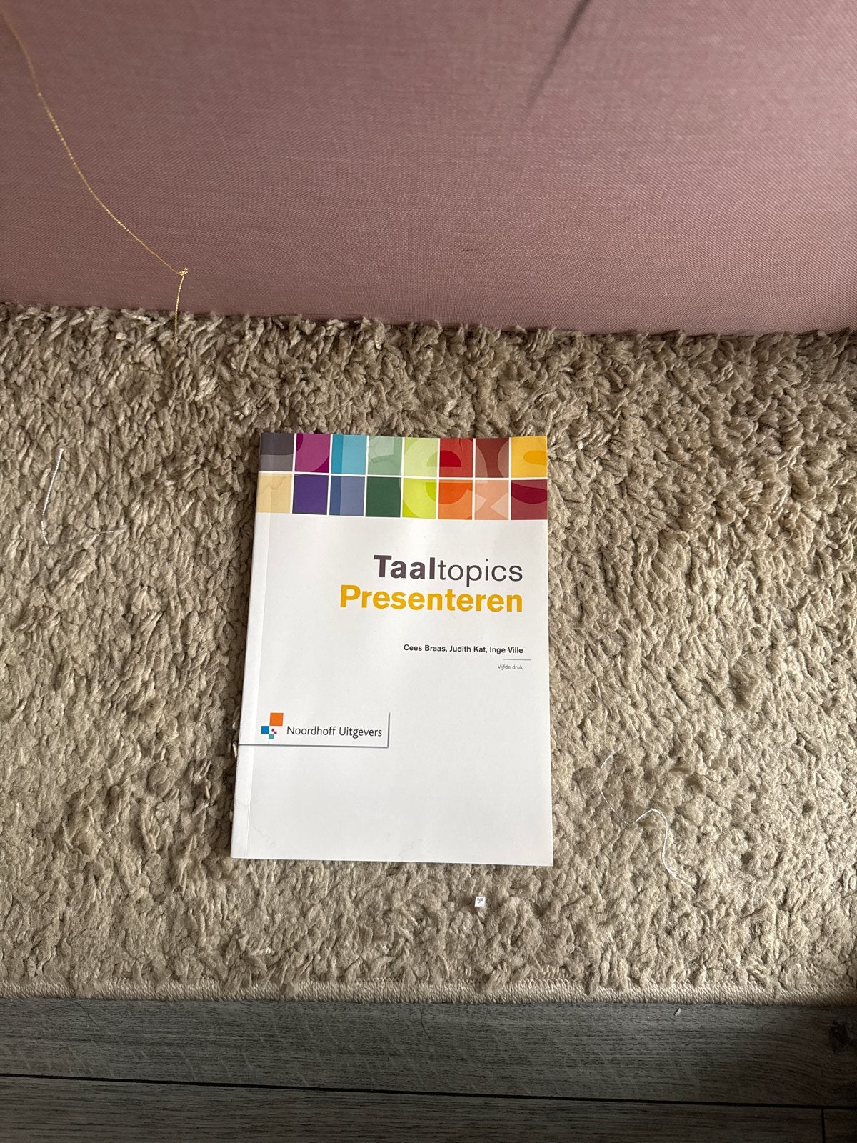 Taaltopics Presenteren - Noordhoff Uitgevers, Boeken, Verzenden, Alpha, Zo goed als nieuw, Overige niveaus