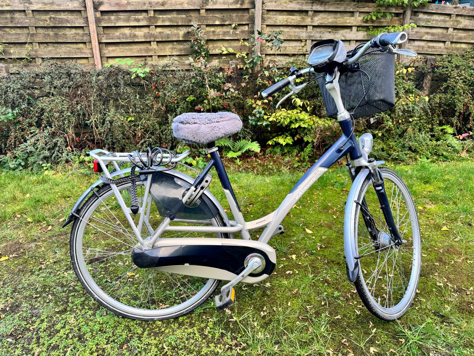 Batavus Damesfiets met Mand en Bagagedrager, Ophalen, Velgrem, Versnellingen, Batavus