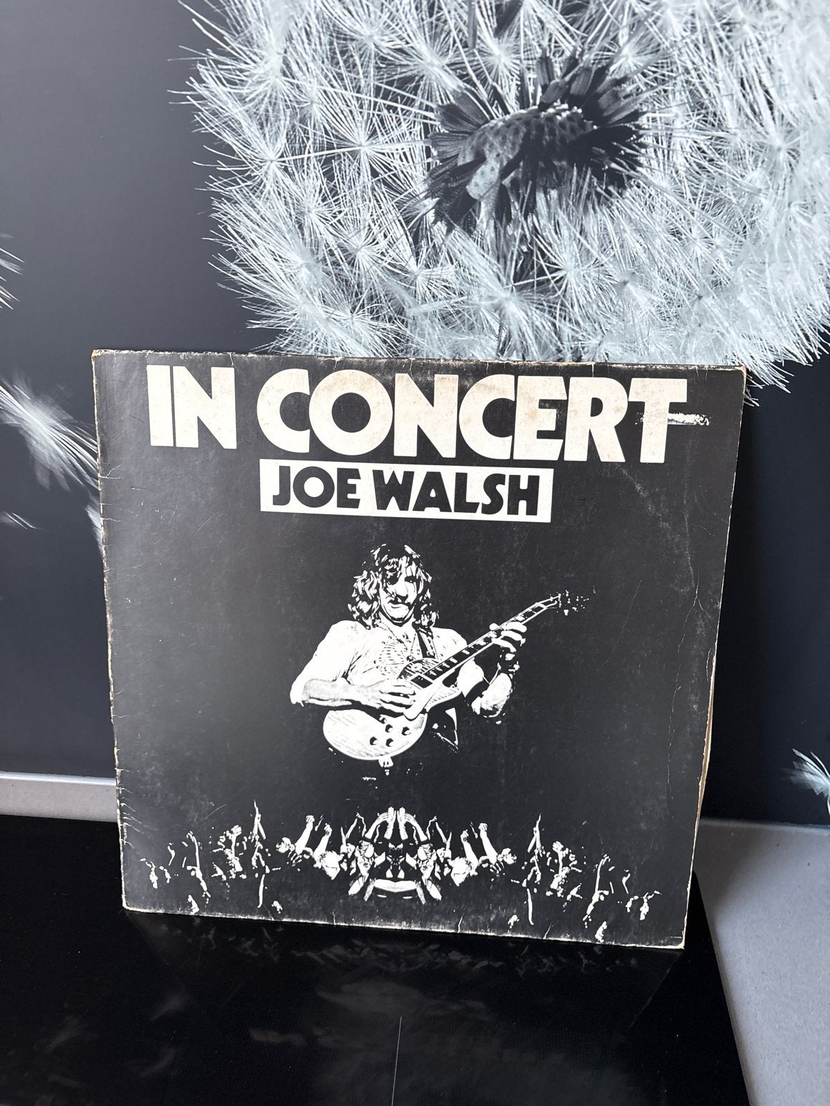 Joe Walsh - In Concert LP (1976) Rock/Pop, Cd's en Dvd's, LP, Rock, Gebruikt, Ophalen of Verzenden