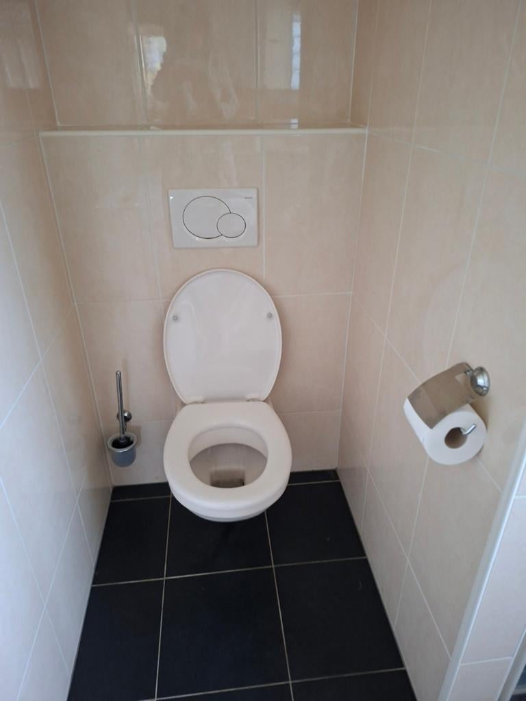 Gratis toiletpot met inbouwreservoir en drukplaat, Doe-het-zelf en Verbouw, Sanitair, Ophalen