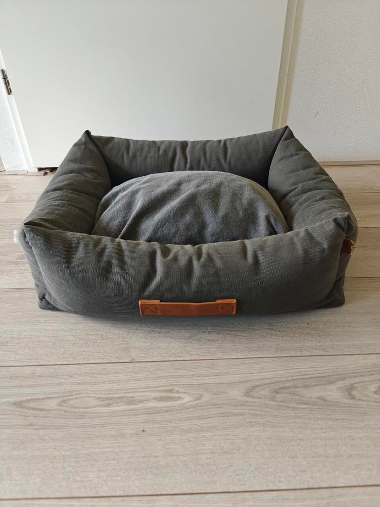 Honden mand groen, Dieren en Toebehoren, Ophalen, Gebruikt, Stof