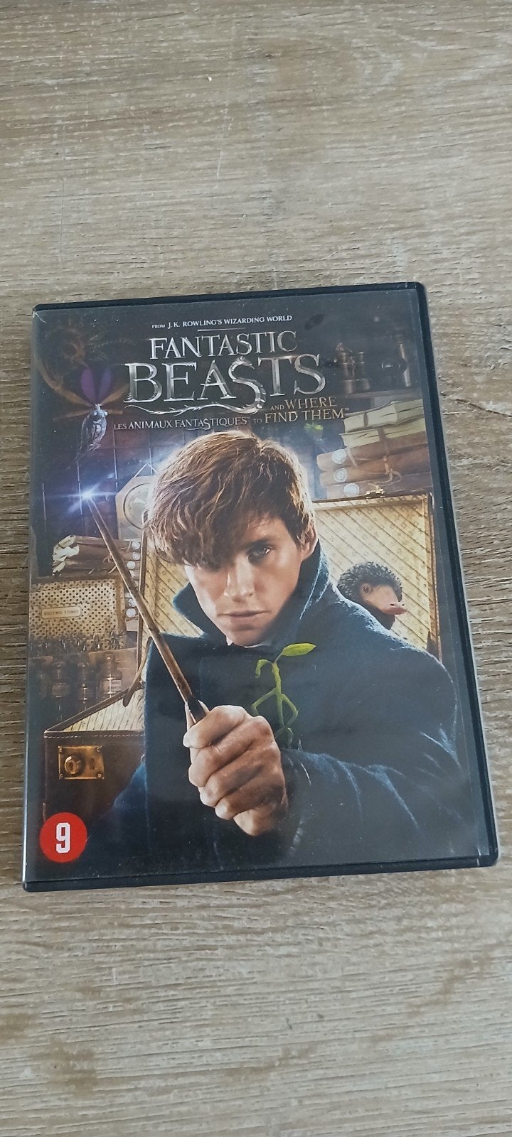 fantasy dvd fantastic beasts and where to find them, Vanaf 9 jaar, Ophalen of Verzenden, Zo goed als nieuw, Fantasy