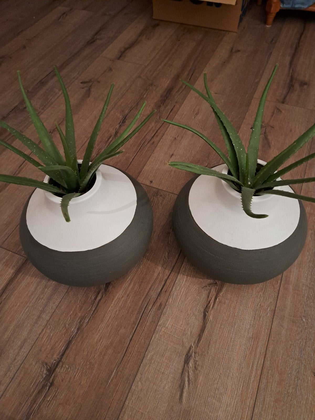 2 vazen met nep Cactus, Ophalen