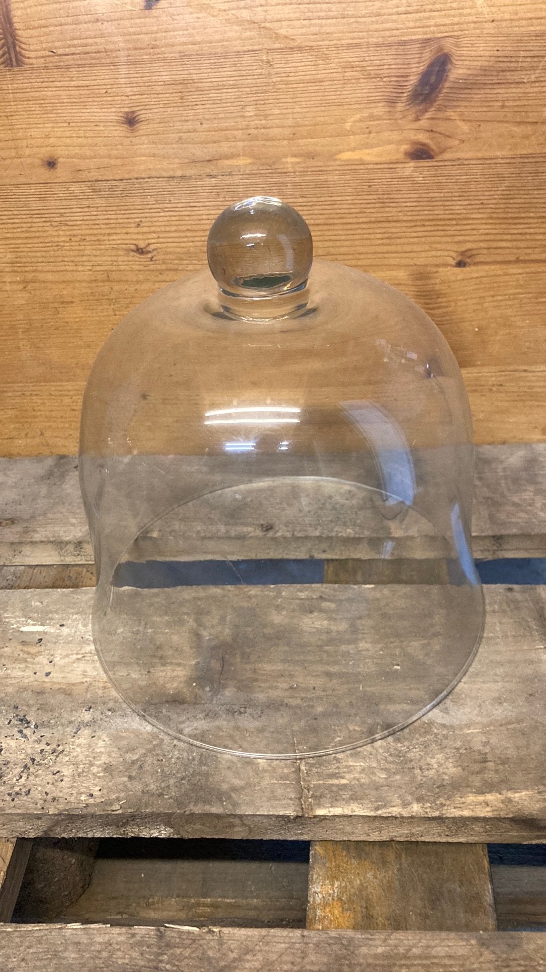 Glazen stolp hoogte 23 cm doorsnede onder 22 cm, Ophalen of Verzenden, Zo goed als nieuw