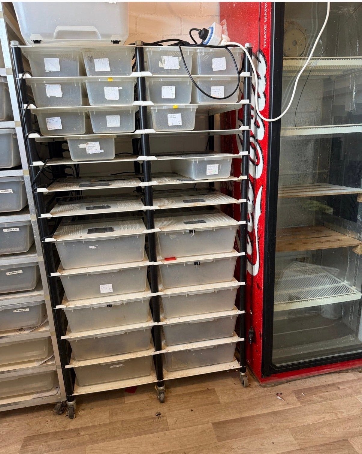 Lp stalen rack, Ophalen of Verzenden, Gebruikt