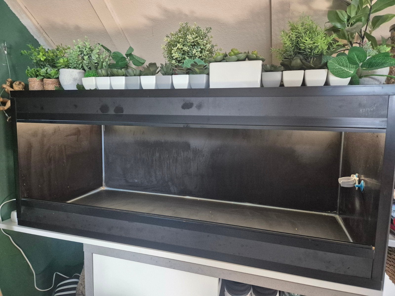 TEAB Betonplex Terrarium 120 x 50 x 50 zwart, Dieren en Toebehoren, Ophalen, Zo goed als nieuw, Terrarium of Paludarium