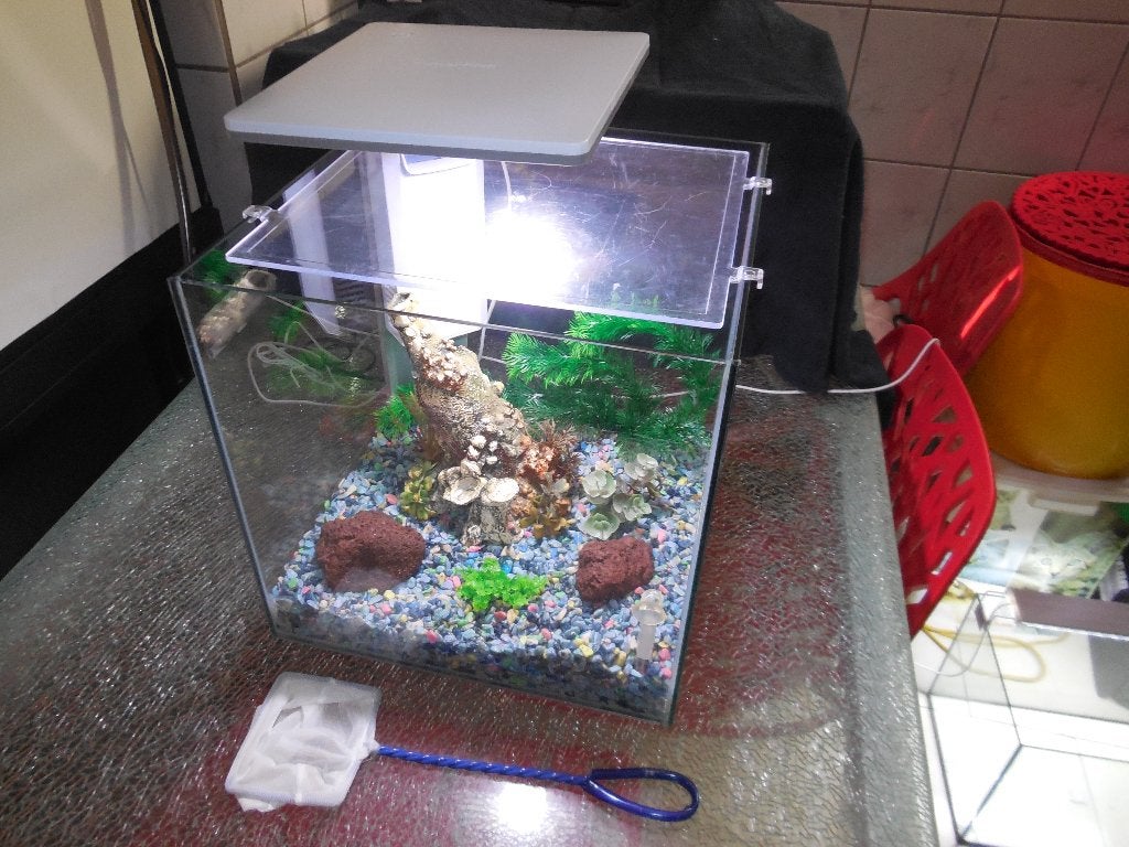superfish qubiq 30 pro wit compleet en met inrichting, Gebruikt, Leeg aquarium, Superfish, Ophalen