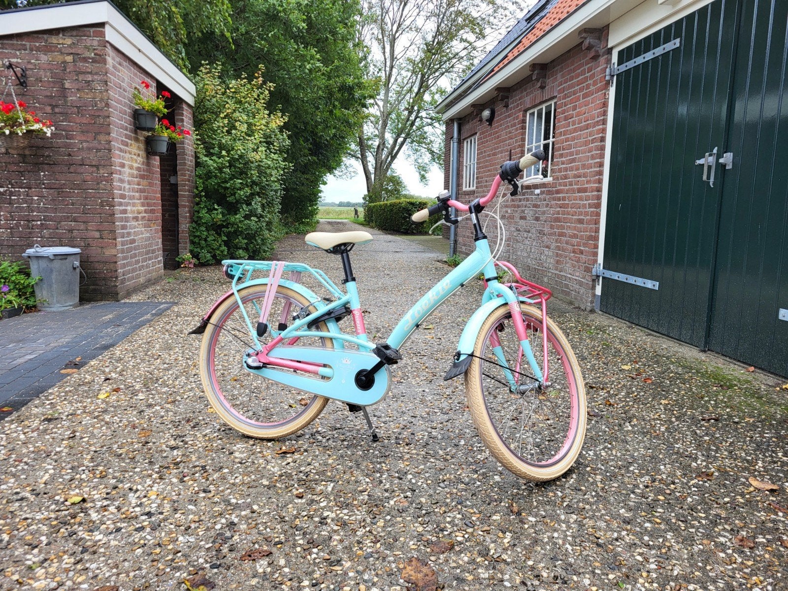 Loekie Princess 22 inch, Ophalen, Terugtraprem, 22 inch, Versnellingen