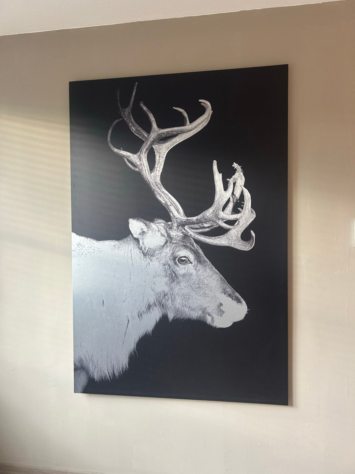 Groot Schilderij Rendier, Ophalen, Metaal, Dieren