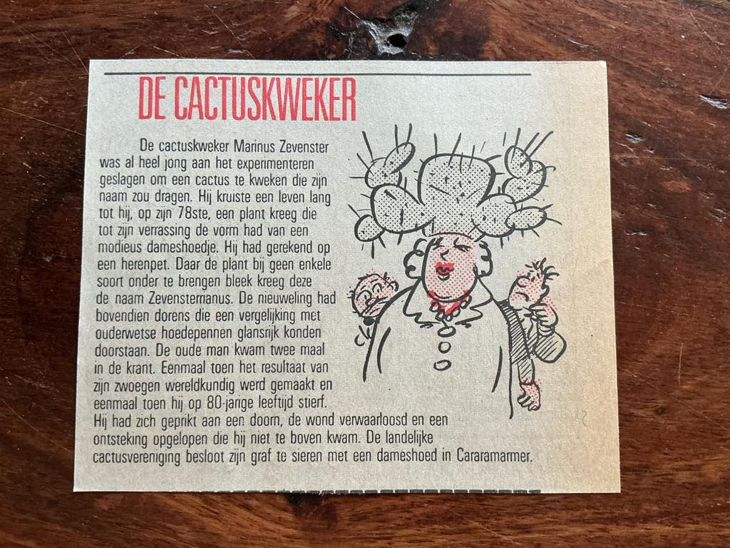 Karikatuur Dik Bruynesteyn De Catuskweker krantenartikel, Ophalen of Verzenden, Knipsel(s)