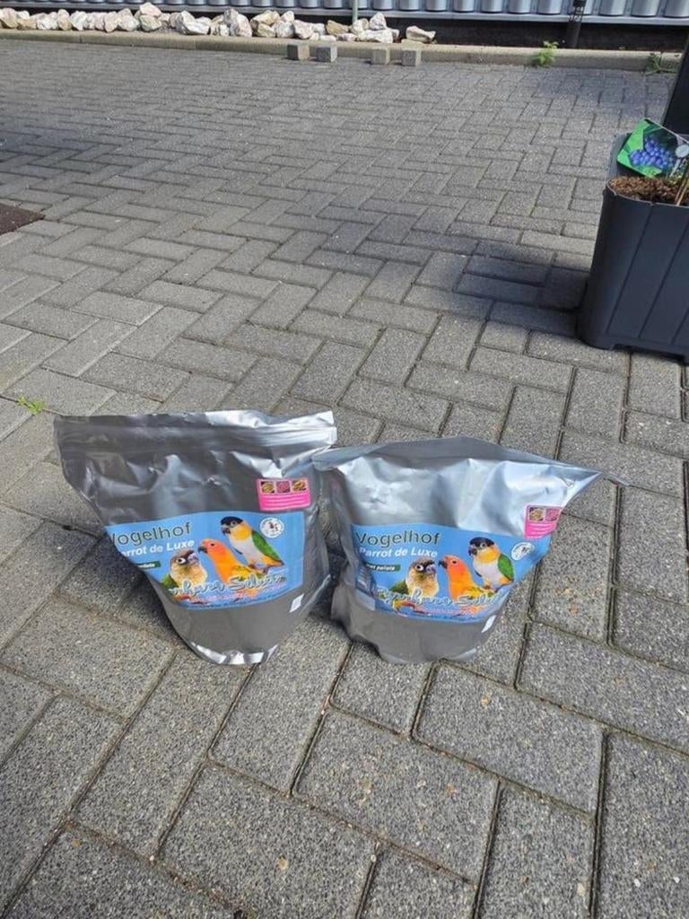 Phyrhurra select, Dieren en Toebehoren, Vogels | Parkieten en Papegaaien
