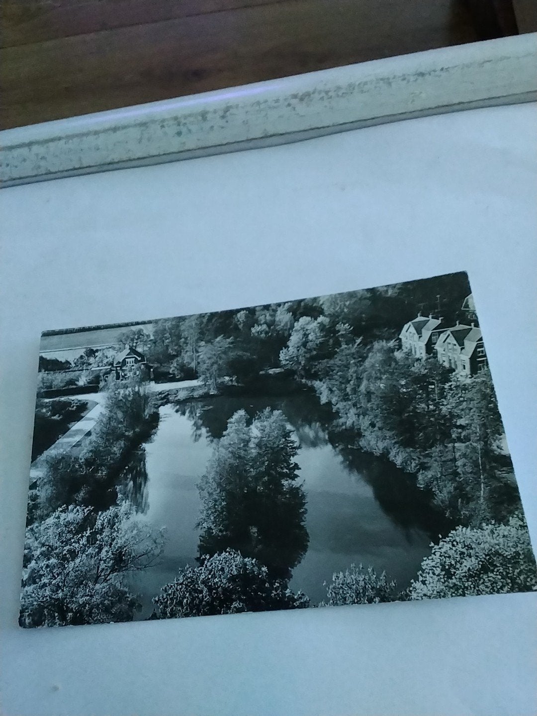 Oude ansichtkaart Vrederust, Halsteren (Post Bergen op Zoom), Ophalen of Verzenden
