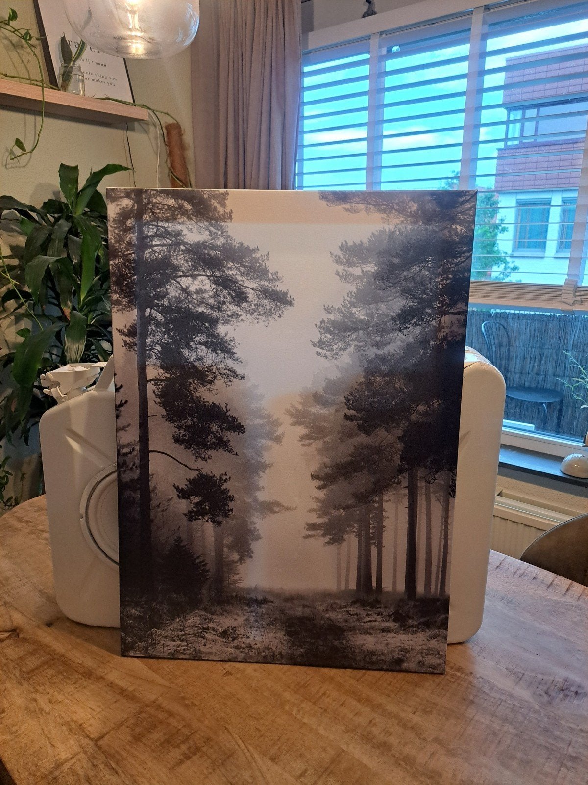 IKEA PJÄTTERYD Canvas print Zwart Wit Bos 50x70cm, Ophalen, Minder dan 50 cm, 50 tot 75 cm, Nieuw