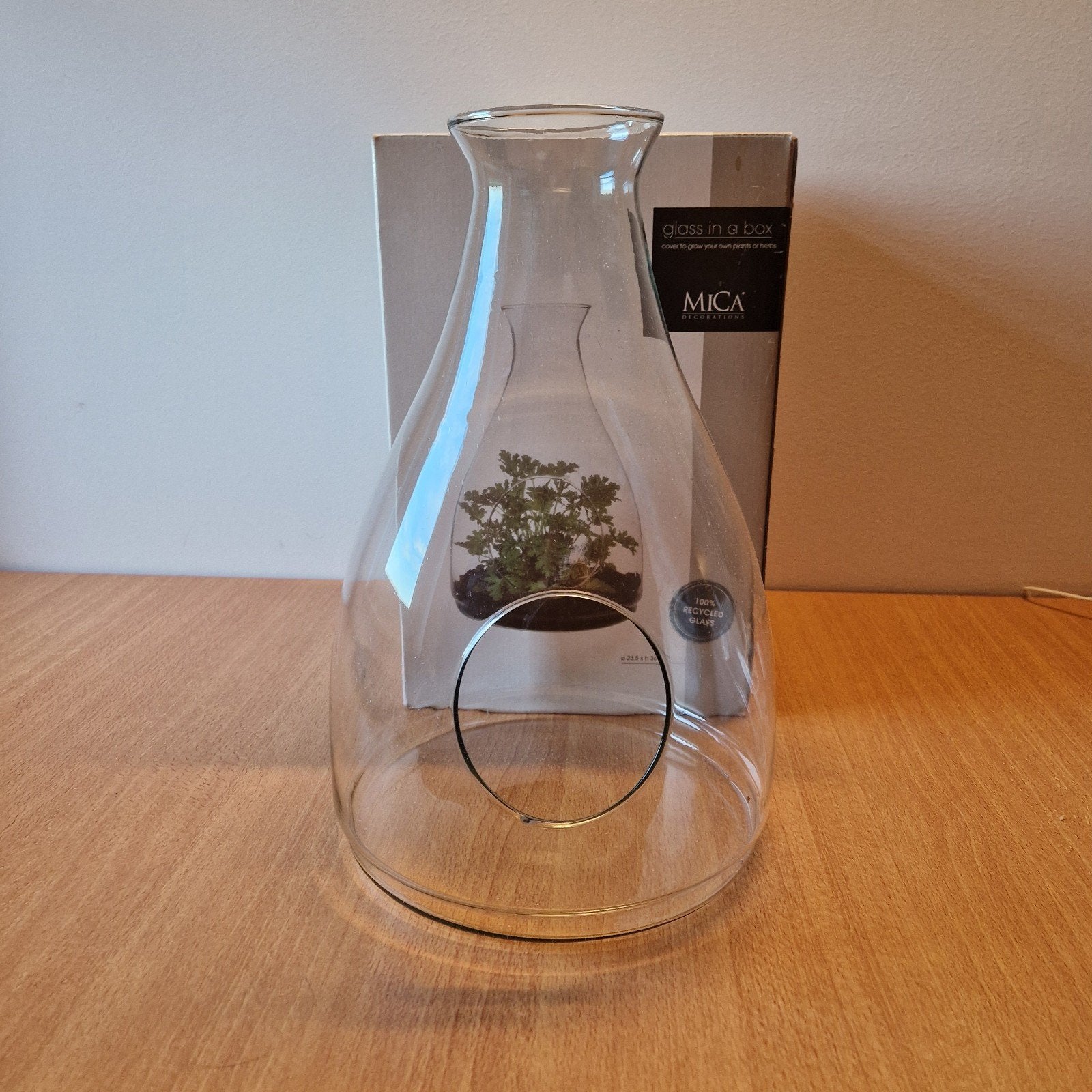 MICA Glass in a Box - Terrarium/Vaas van gerecycled glas, Transparant, Ophalen of Verzenden, Gerecycled glas, Glas