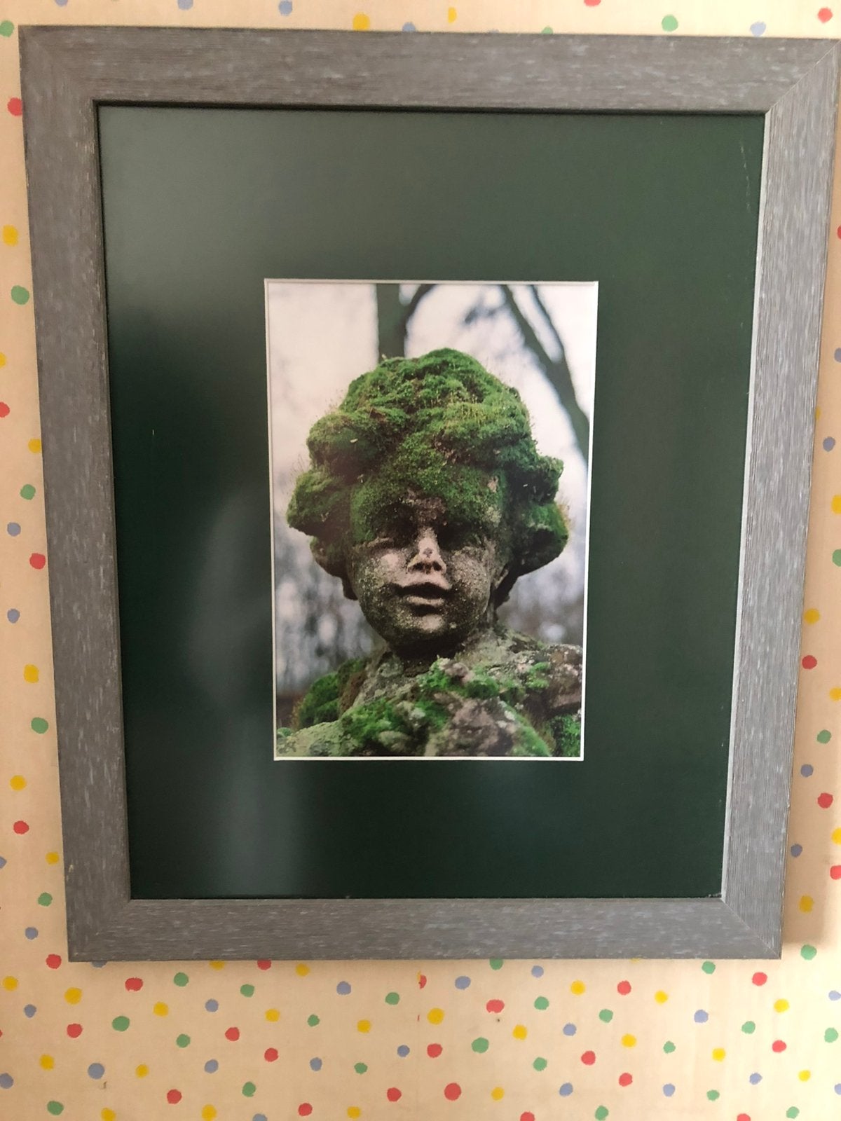 Mooie artistieke foto in lijst, Ophalen of Verzenden, Zo goed als nieuw, Minder dan 50 cm, Foto of Poster