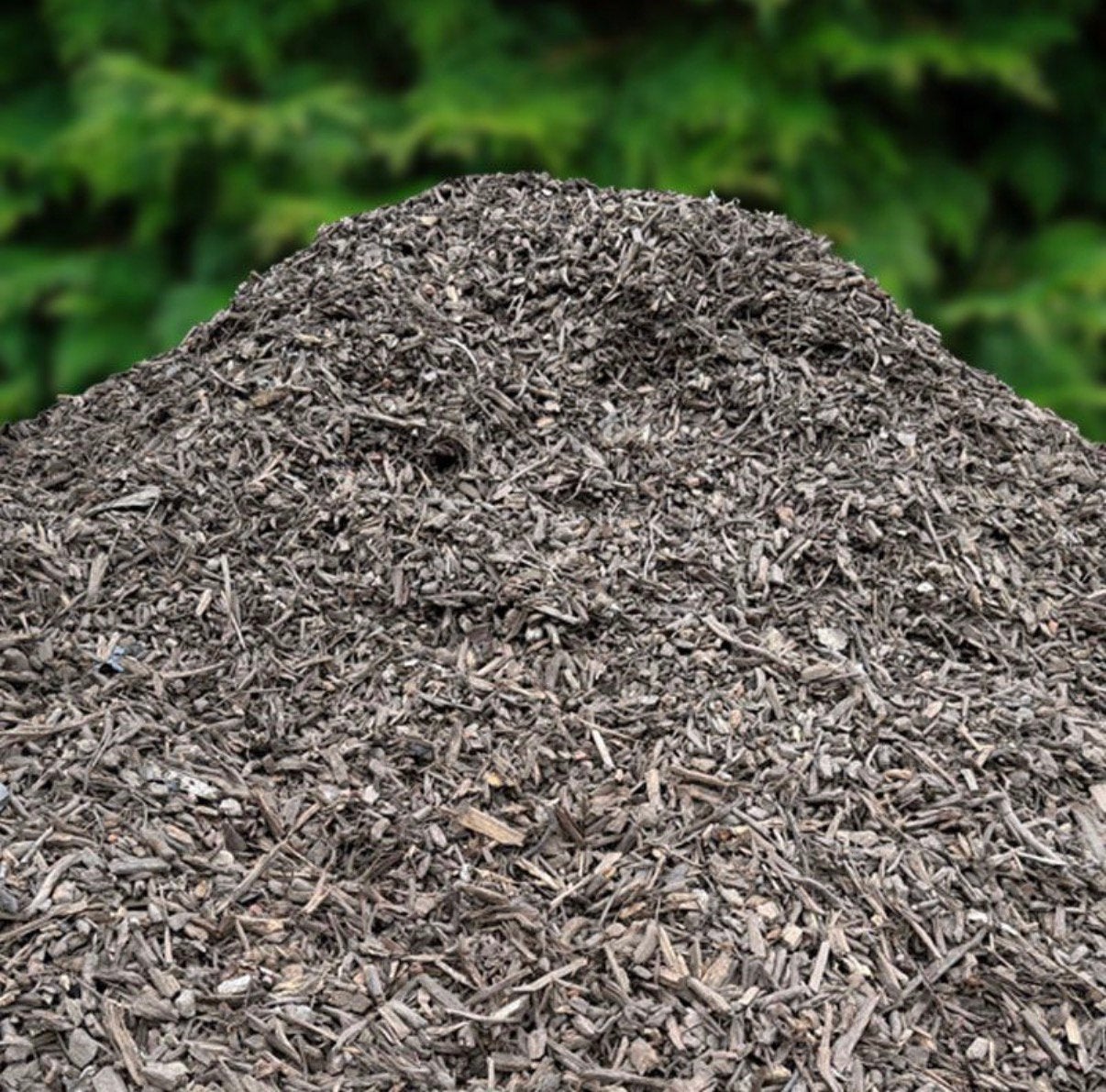 Geshredderde boomwortel snippers GRATIS BEZORGD vanaf 3 kuub, Ophalen of Verzenden