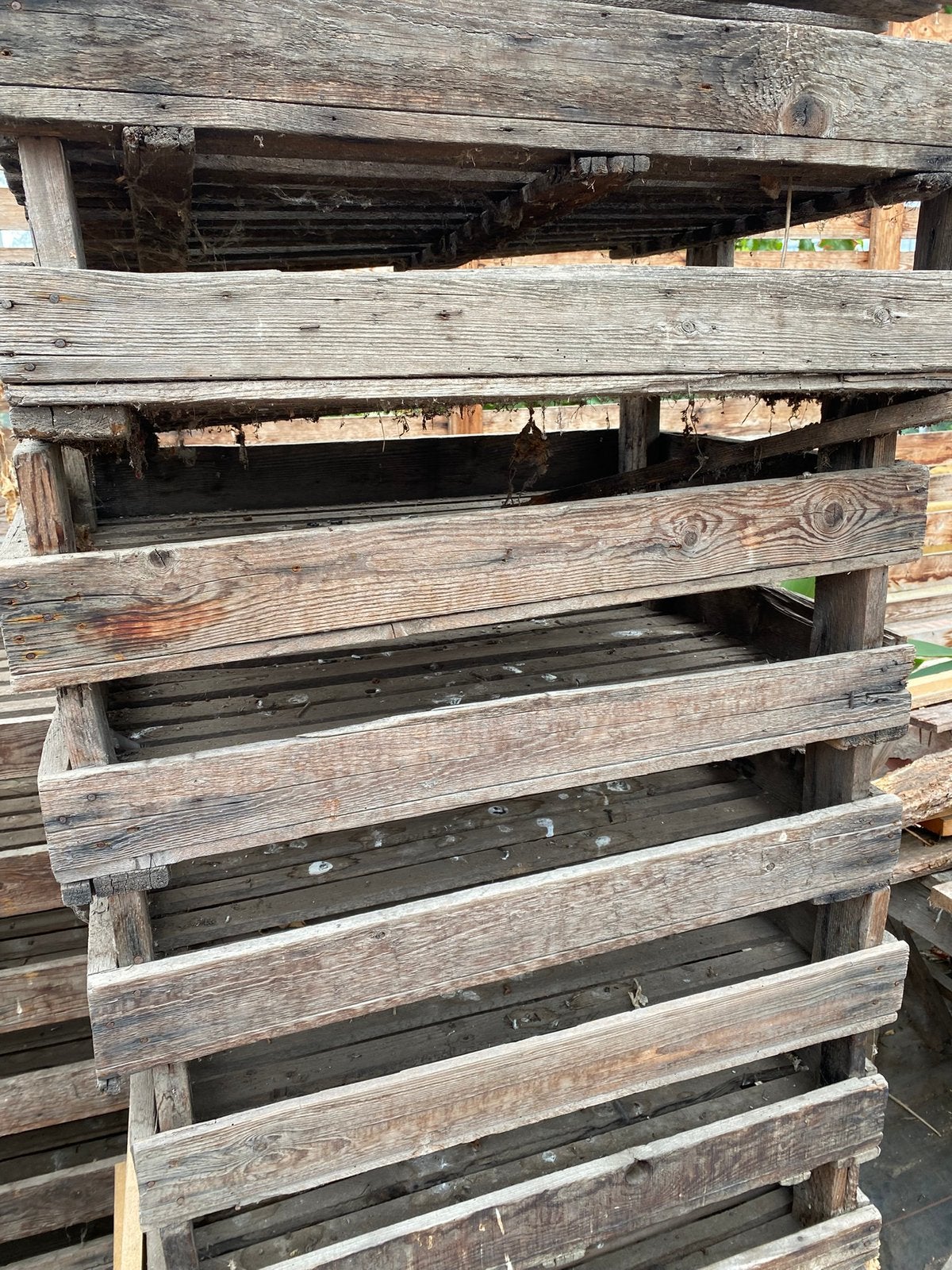 Gratis stookhout, 6 m³ of meer, Ophalen