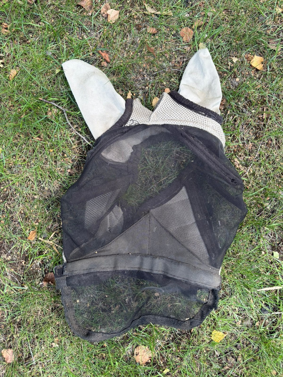 Vliegenmasker QHP mini shet, Ophalen of Verzenden, Gebruikt