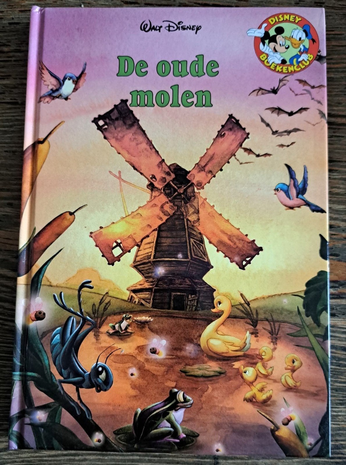 5 Disney boeken voor € 0,99 per stuk, Verzamelen, Ophalen of Verzenden, Overige figuren, Zo goed als nieuw, Overige typen