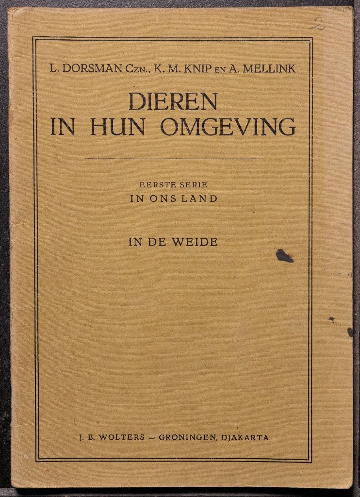 Schoolplaat boekje – In de weide      , Antiek en Kunst, Ophalen of Verzenden, Natuur en Biologie
