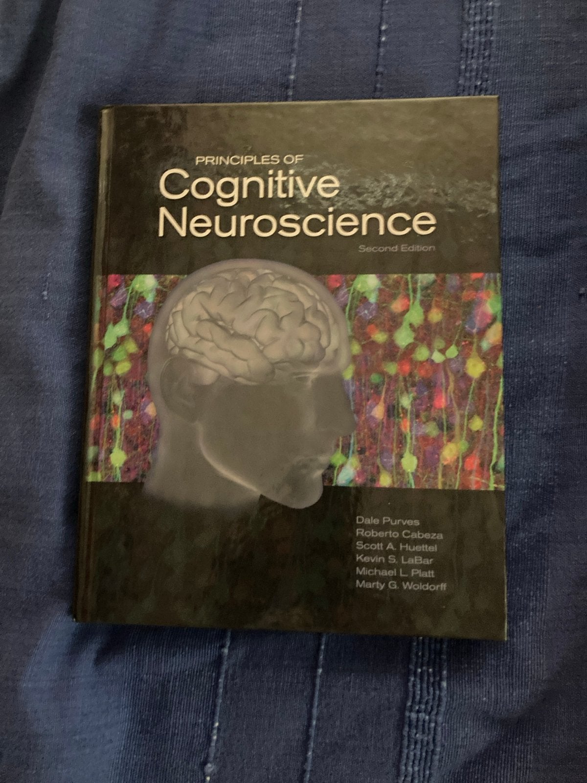 Principles of Cognitive Neuroscience - Tweede Editie, Boeken, Ophalen of Verzenden, Beta, Zo goed als nieuw, WO