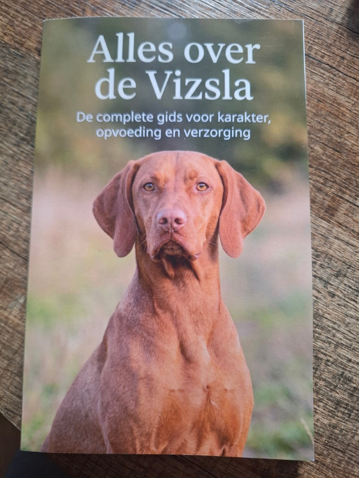Alles over de Vizsla, Ophalen of Verzenden, Nieuw, Honden