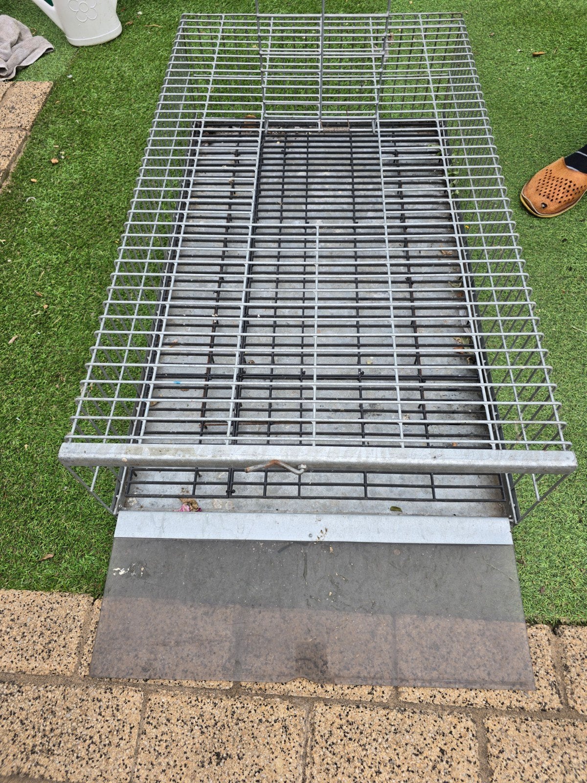 Duiven mand. Transportmand., Dieren en Toebehoren, Meerdere dieren, Postduif