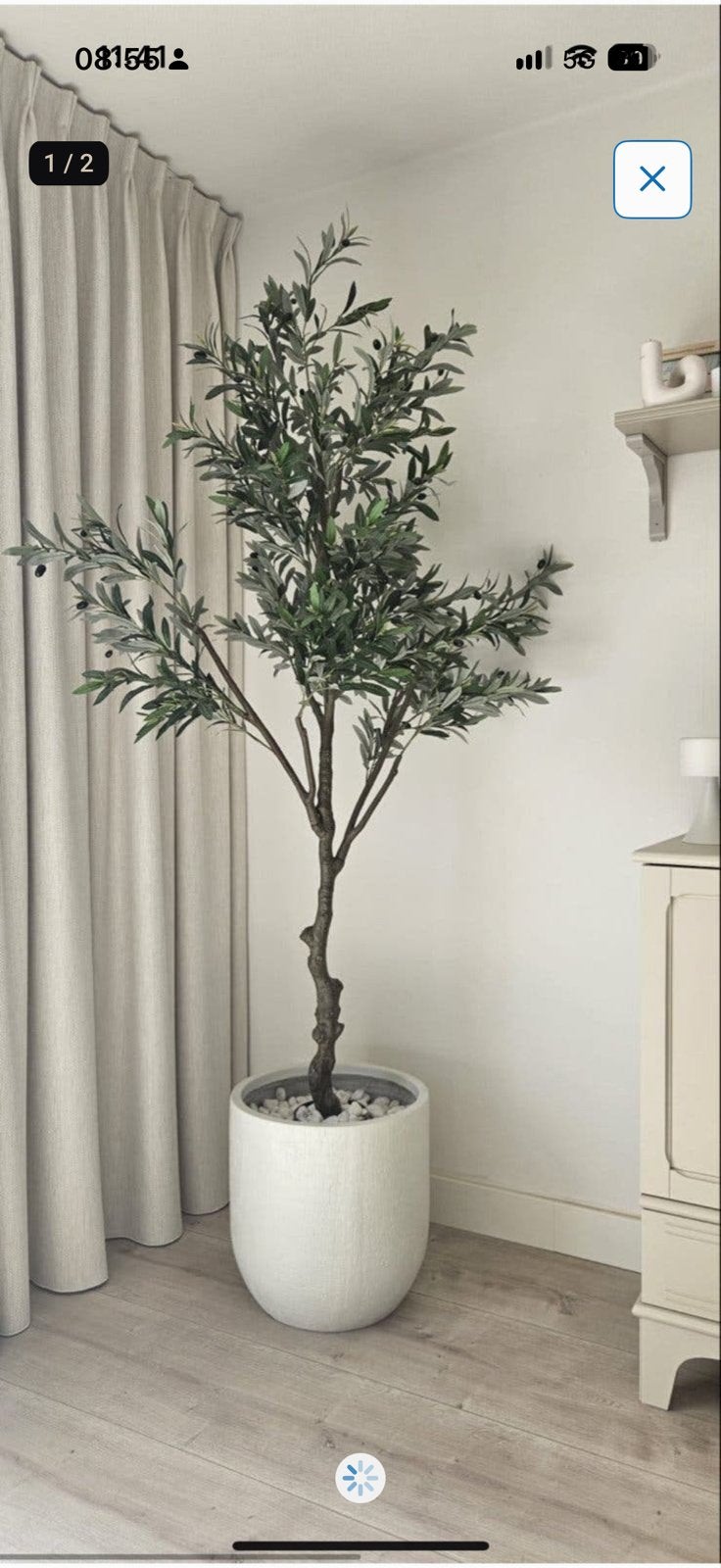 Kunst olijfboom in pot - Realistische decoratie, Ophalen of Verzenden, Vaste plant, Overige soorten, Volle zon