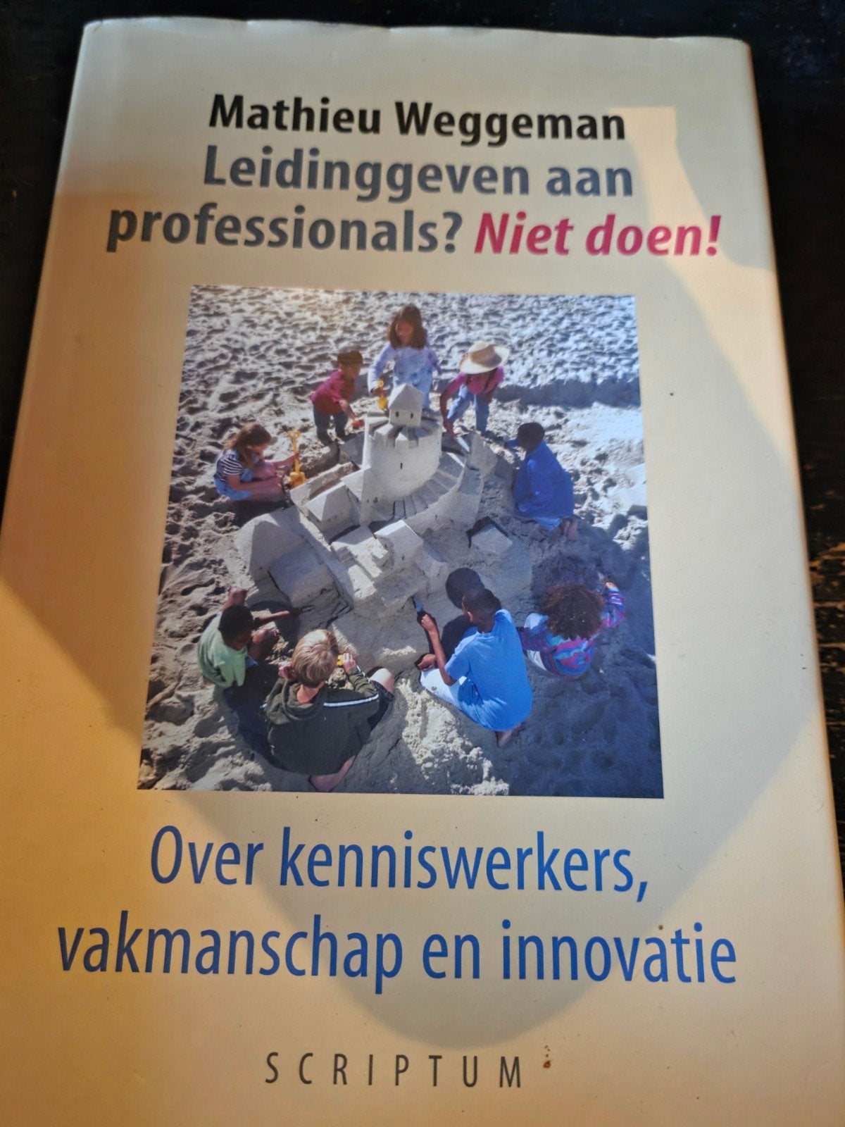 Leidinggeven, Ophalen of Verzenden, Zo goed als nieuw, Management