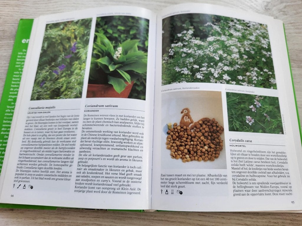 Kruiden encyclopedie Nico Vermeulen, Verzenden, Zo goed als nieuw, Kruiden en Alternatief