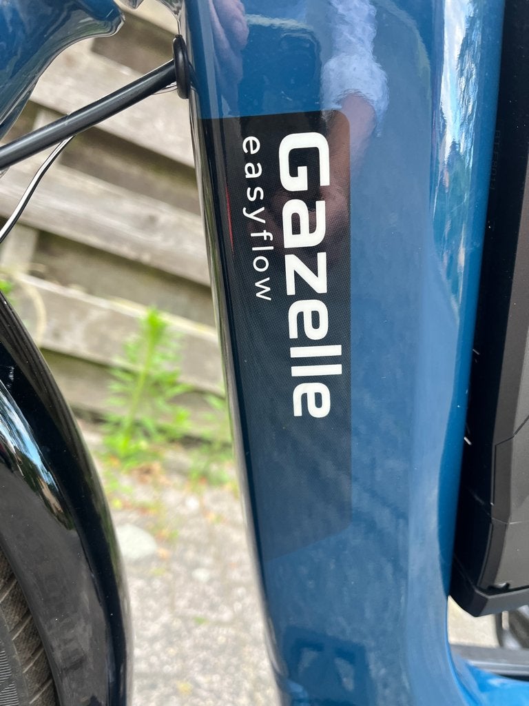 gazelle easy flow HMS, maat 46, Ophalen, Zo goed als nieuw, Minder dan 47 cm, 50 km per accu of meer