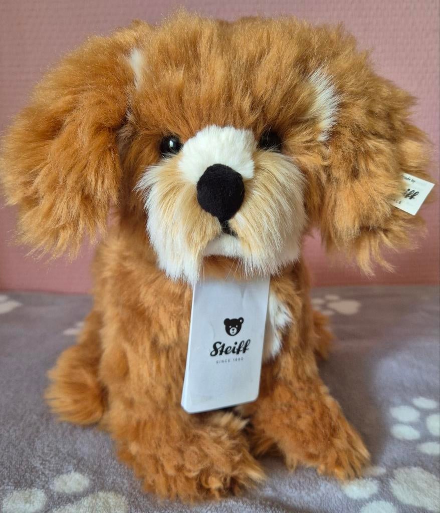 Steiff curlie cockapoo hond knuffel ESSA NIEUW, Verzamelen, Beren en Cherished Teddies, Nieuw, Overige typen, Steiff, Ophalen of Verzenden