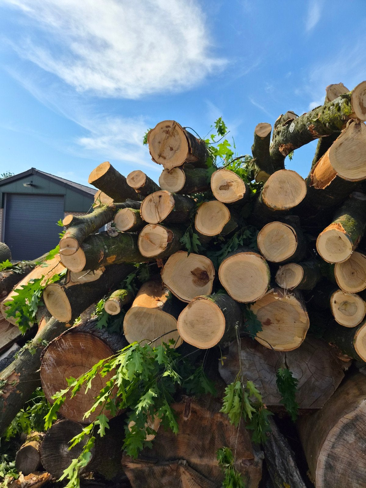 Per 2.5 kuub amerikaans eiken hout brandhout, Ophalen