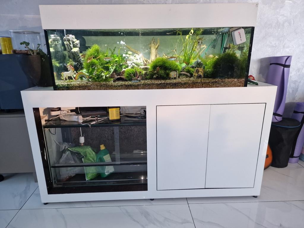 Aquarium 300L, Dieren en Toebehoren, Vissen | Aquaria en Toebehoren, Ophalen of Verzenden, Gevuld zoetwateraquarium