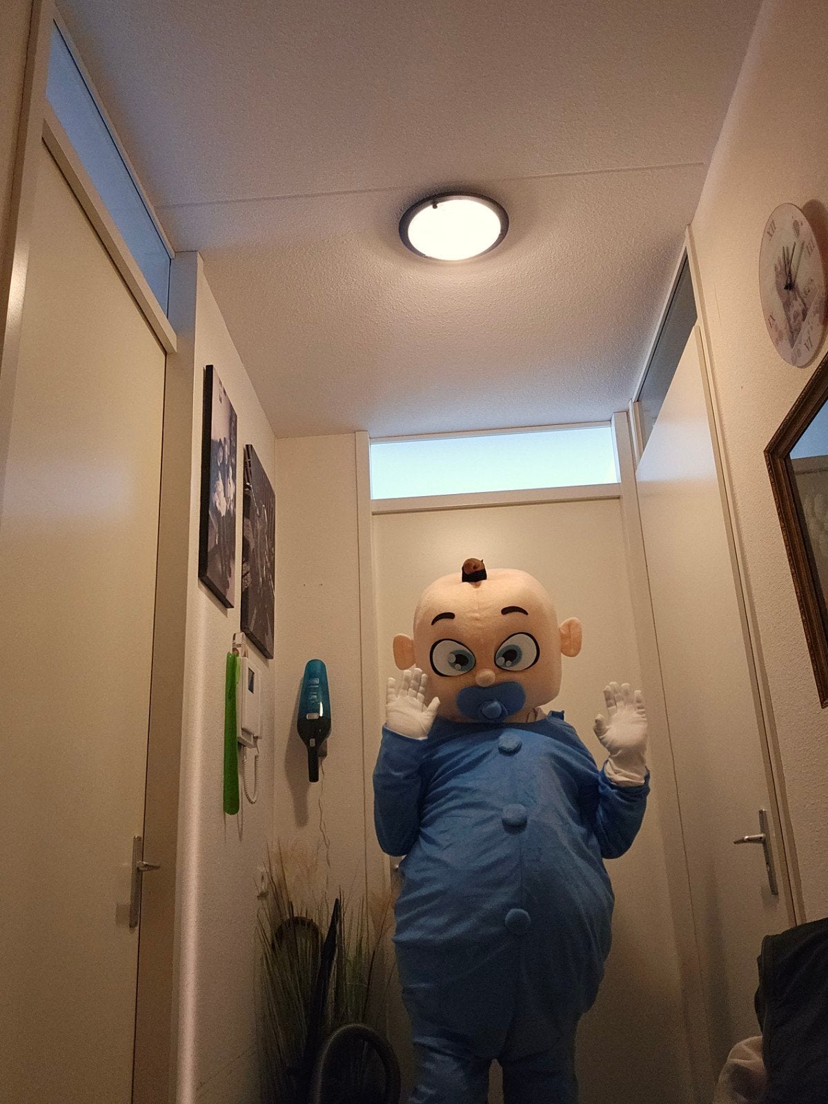 Mascotte Kostuums Te koop  Diverse Karakters, Ophalen, Zo goed als nieuw