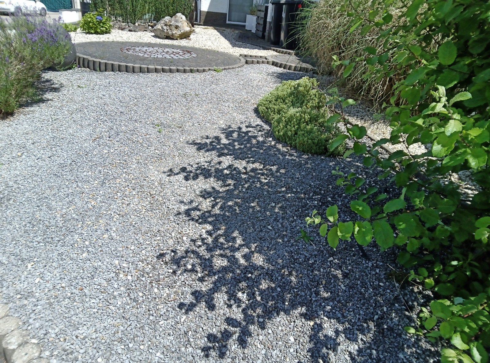 Gratis planten en grijs grind zelf uitgraven/ophalen, Ophalen