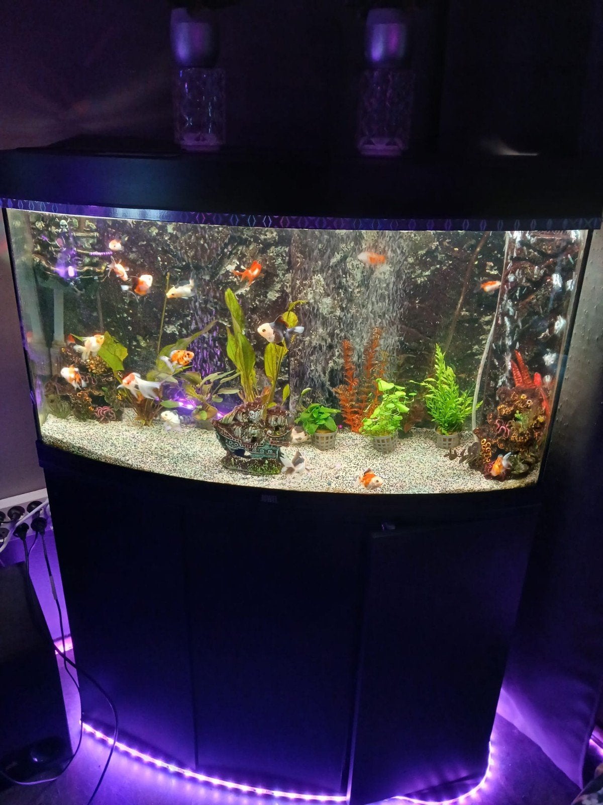 juwel Vision 180, Ophalen, Gebruikt, Leeg aquarium, Inclusief deksel