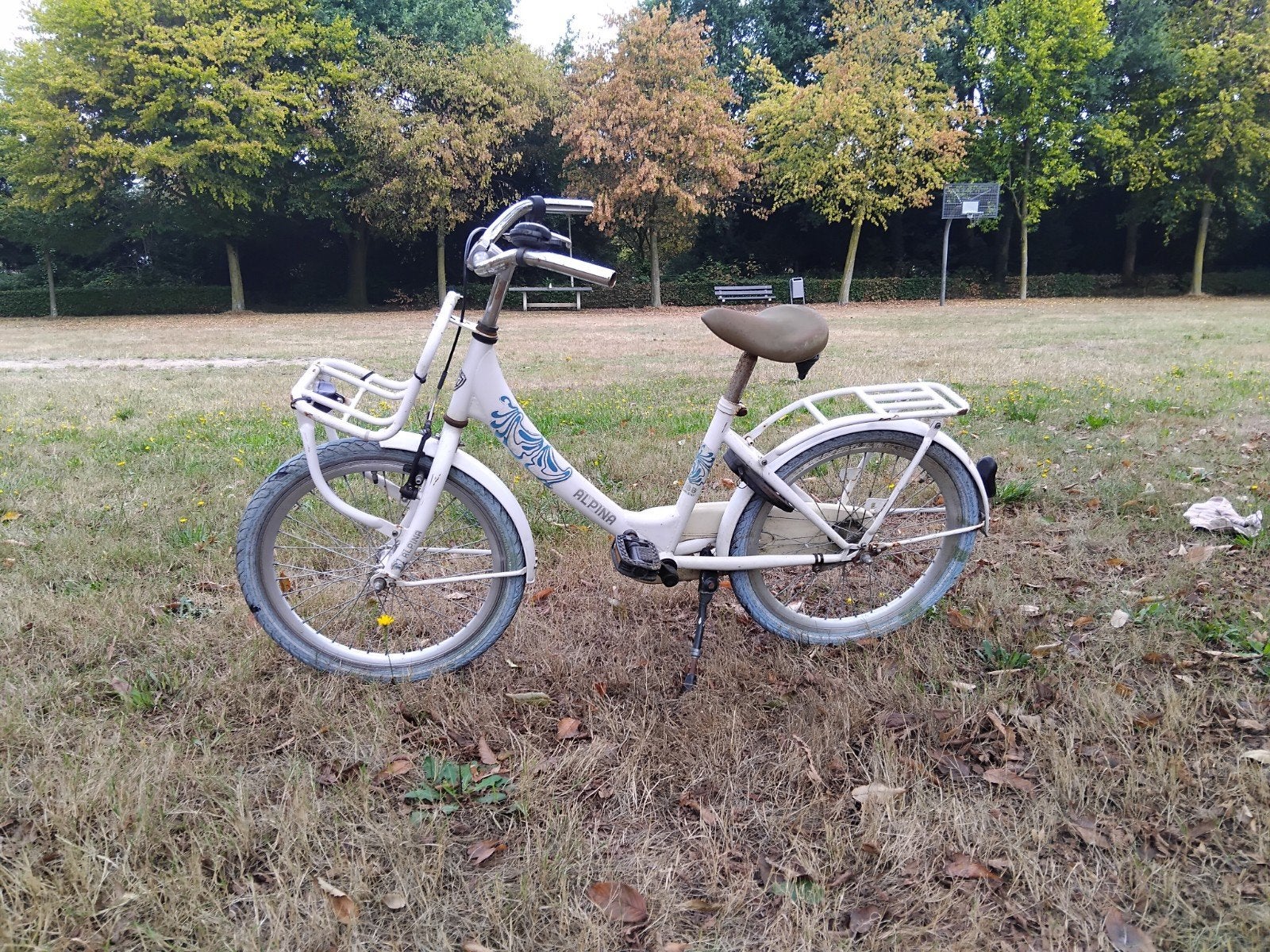 witten alpine fiets het is een 20 inch, Ophalen, Terugtraprem, Gebruikt, Alpina