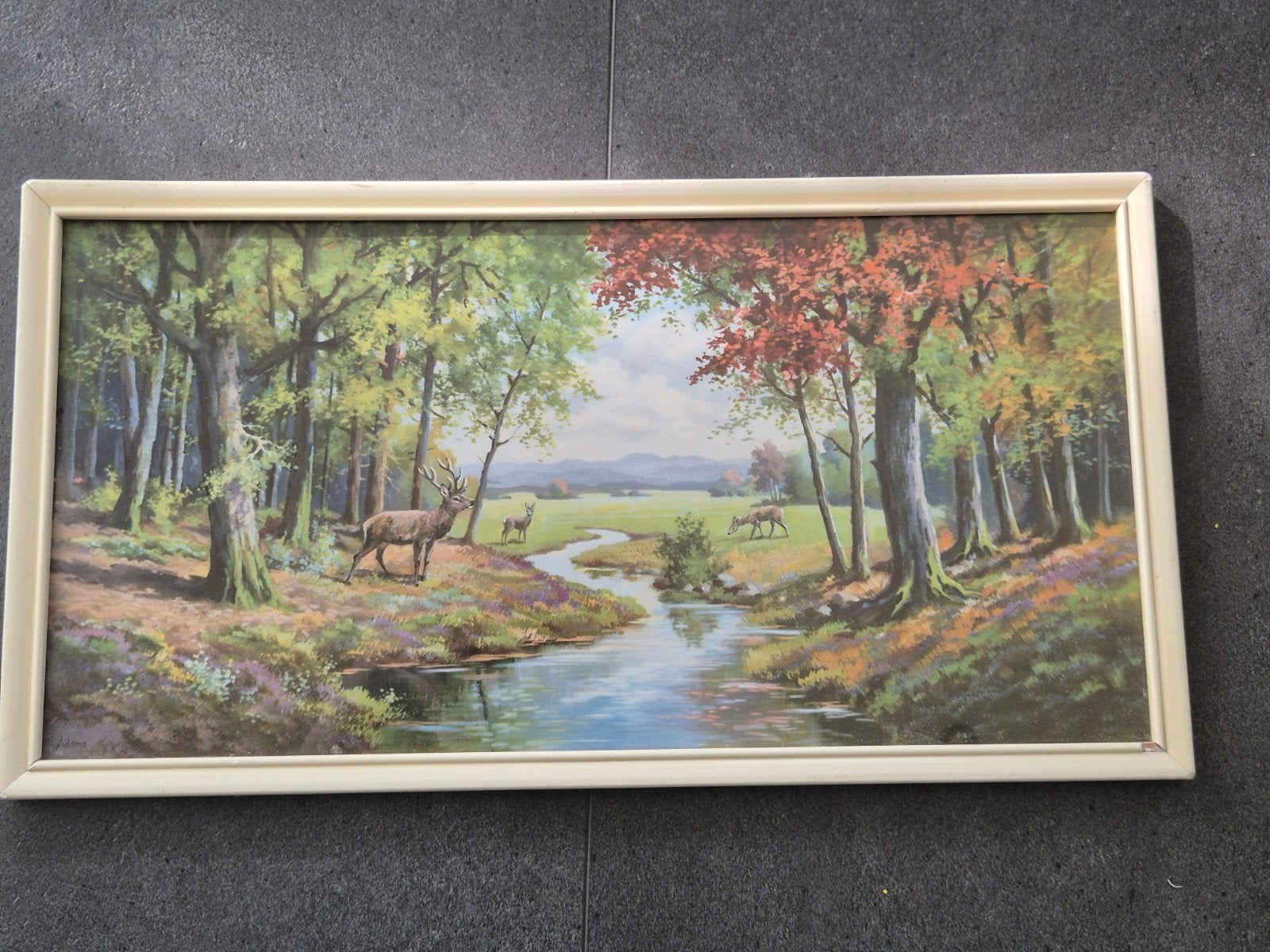 Mooie schilderij/prent  natuur, Ophalen of Verzenden