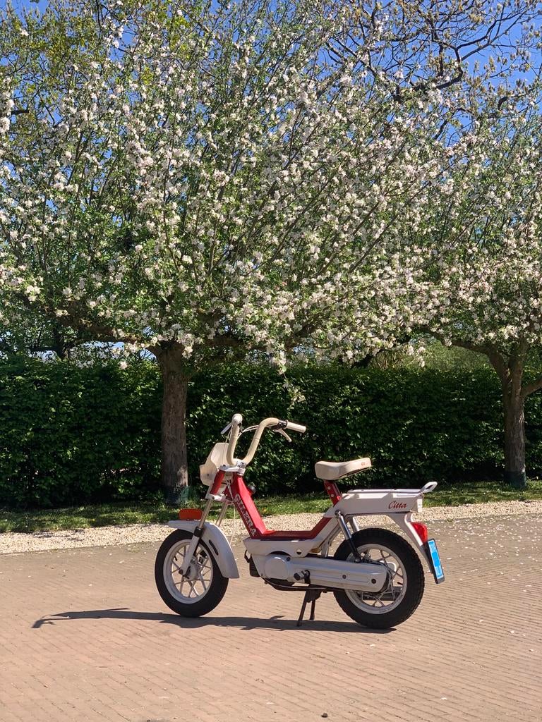 Gilera citta, Fietsen en Brommers, Snorfietsen en Snorscooters, Zo goed als nieuw, Gilera, Ophalen of Verzenden