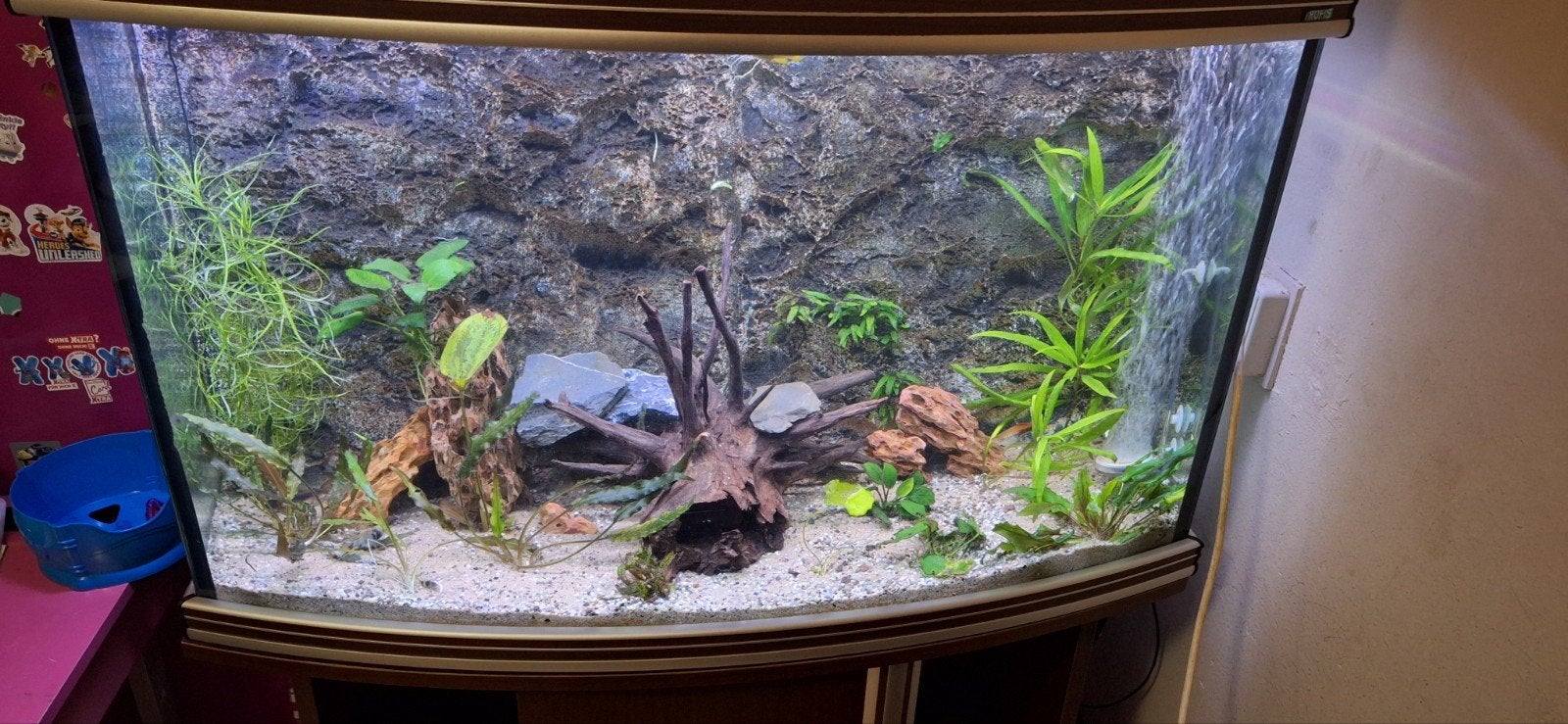 trofis curve aquarium, Dieren en Toebehoren, Vissen | Aquaria en Toebehoren, Ophalen, Inclusief vissen, Gebruikt, Gevuld zoetwateraquarium