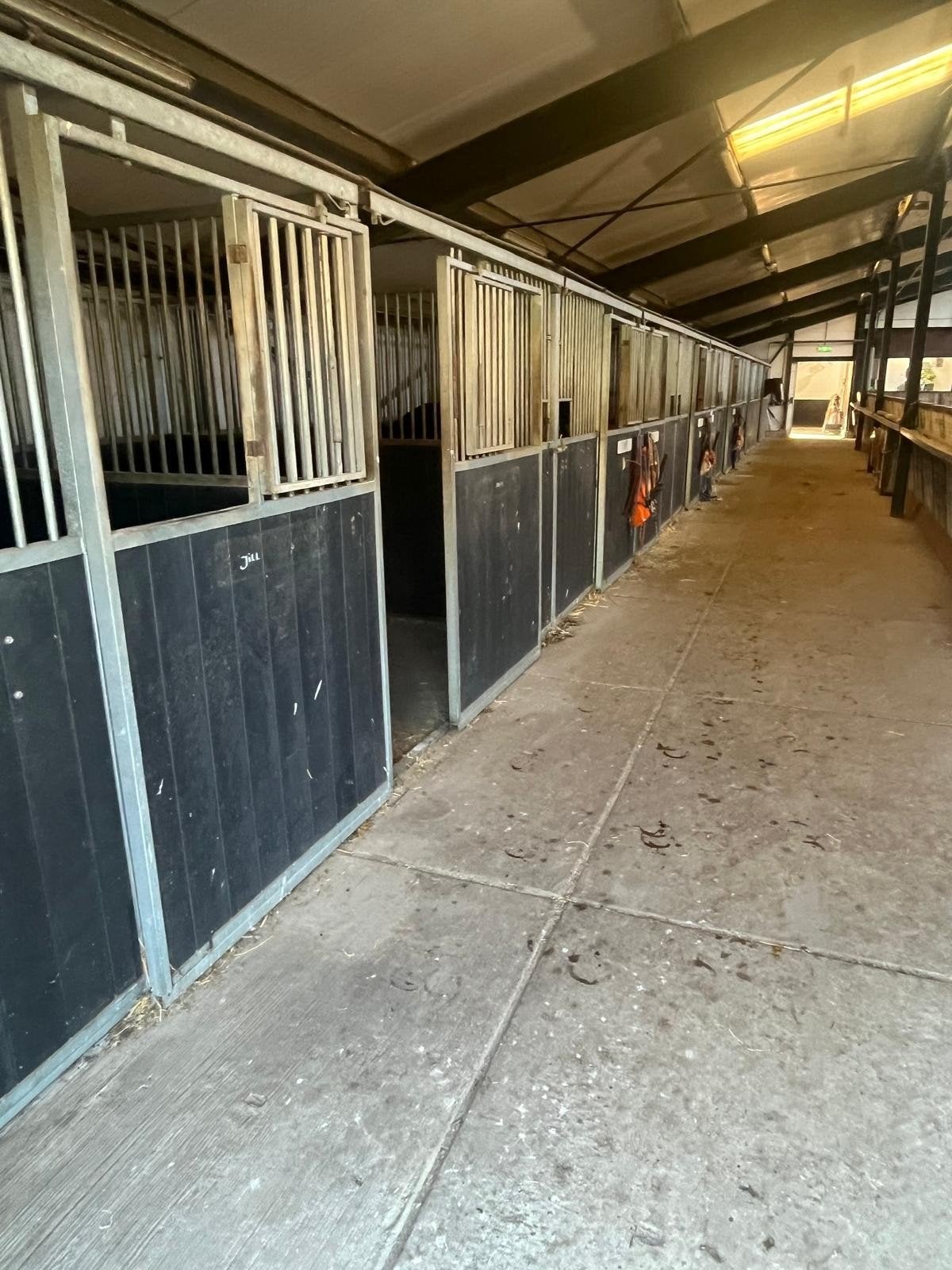 22 paardenboxen, Dieren en Toebehoren