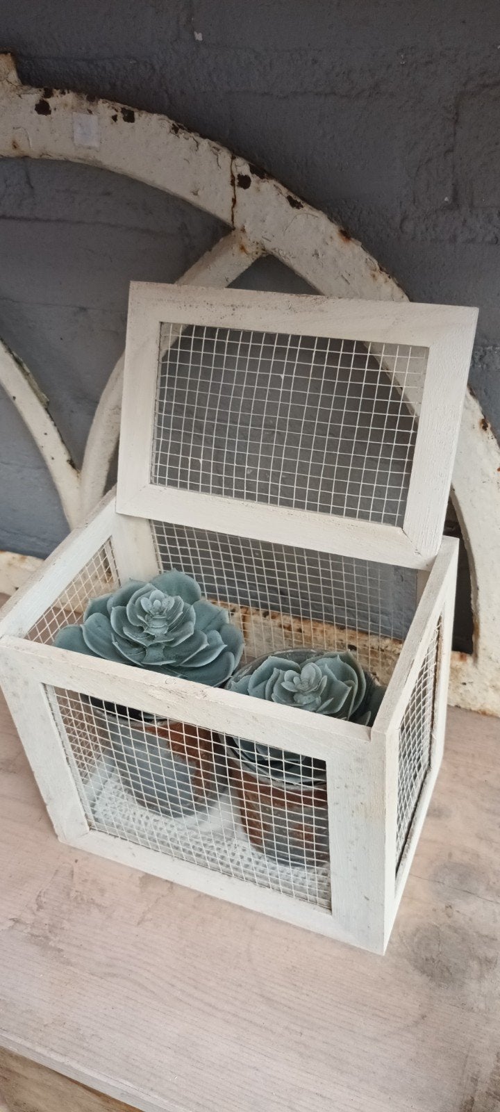 Mini vliegenkastje met 2 zinken potjes, Sedum en kleedje, Ophalen of Verzenden