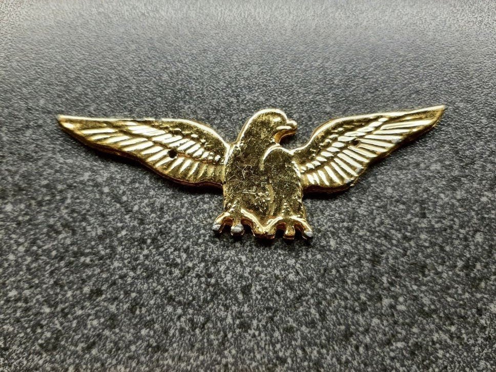 Eagle  Badge   /  74 x 25 mm., Ophalen of Verzenden, Landmacht, Amerika, Embleem of Badge