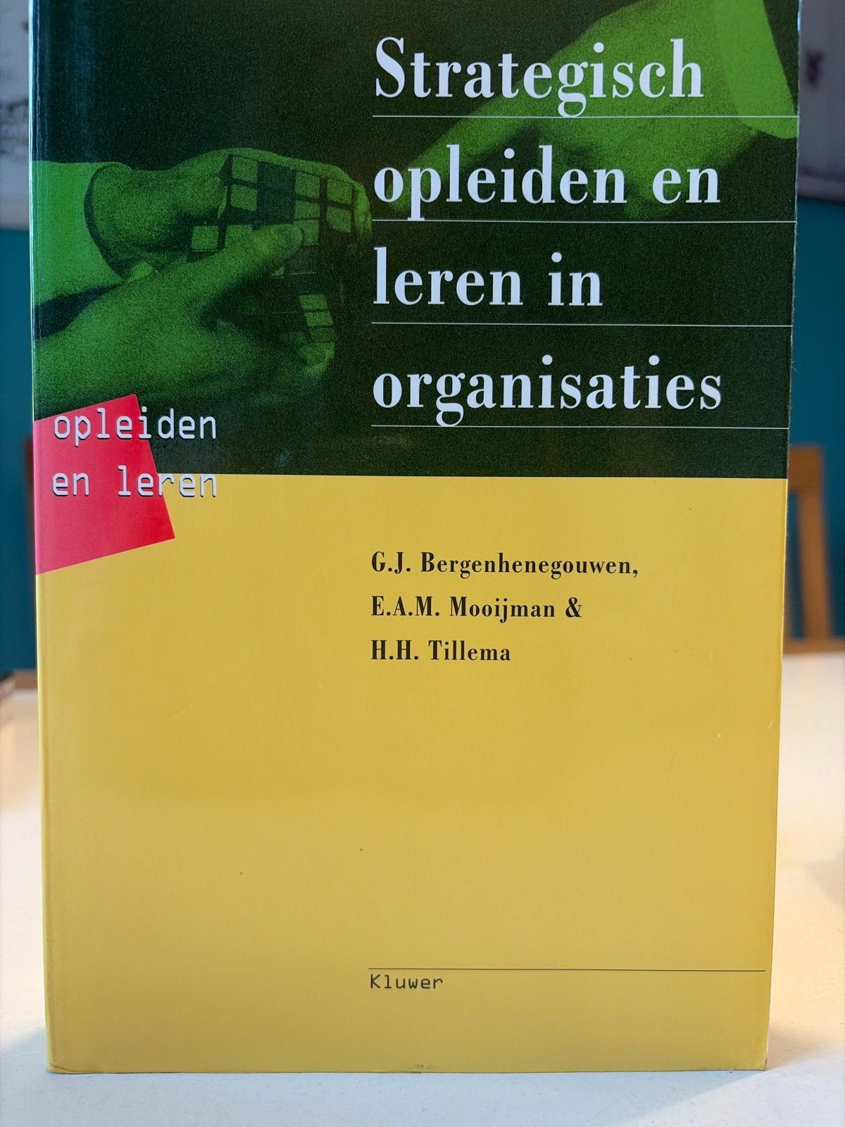 Strategisch opleiden en leren in organisaties, Ophalen of Verzenden, Gamma, Gelezen, HBO